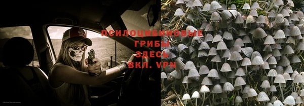 амф Алзамай