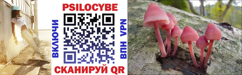 Галлюциногенные грибы Psilocybe  нарко площадка официальный сайт  Узловая 