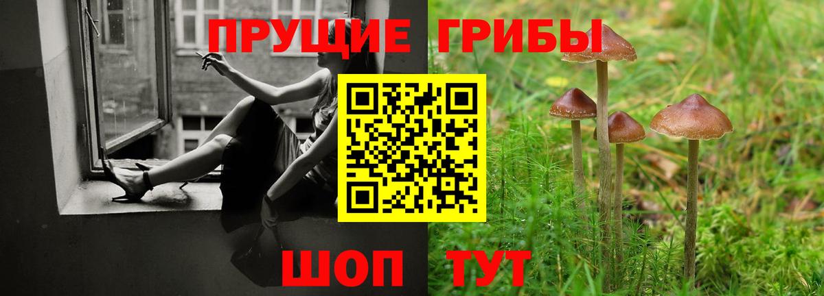 Псилоцибиновые грибы прущие грибы Узловая